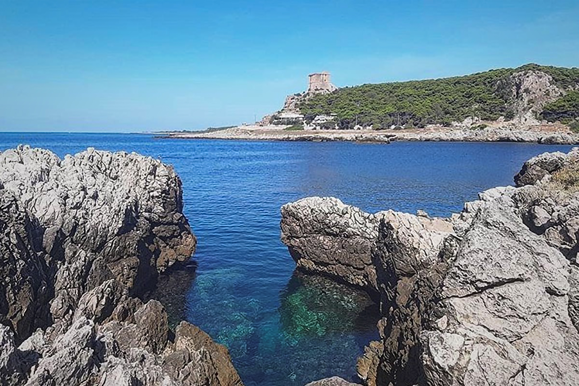 torre inserraglio