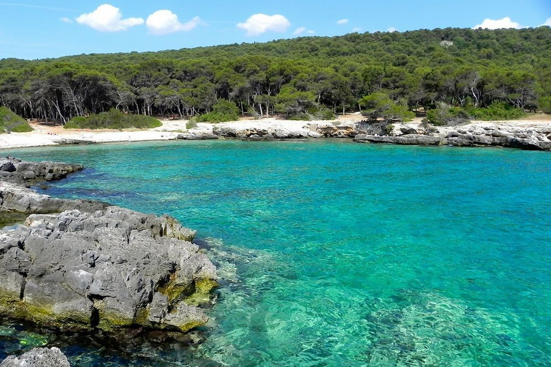 Porto selvaggio